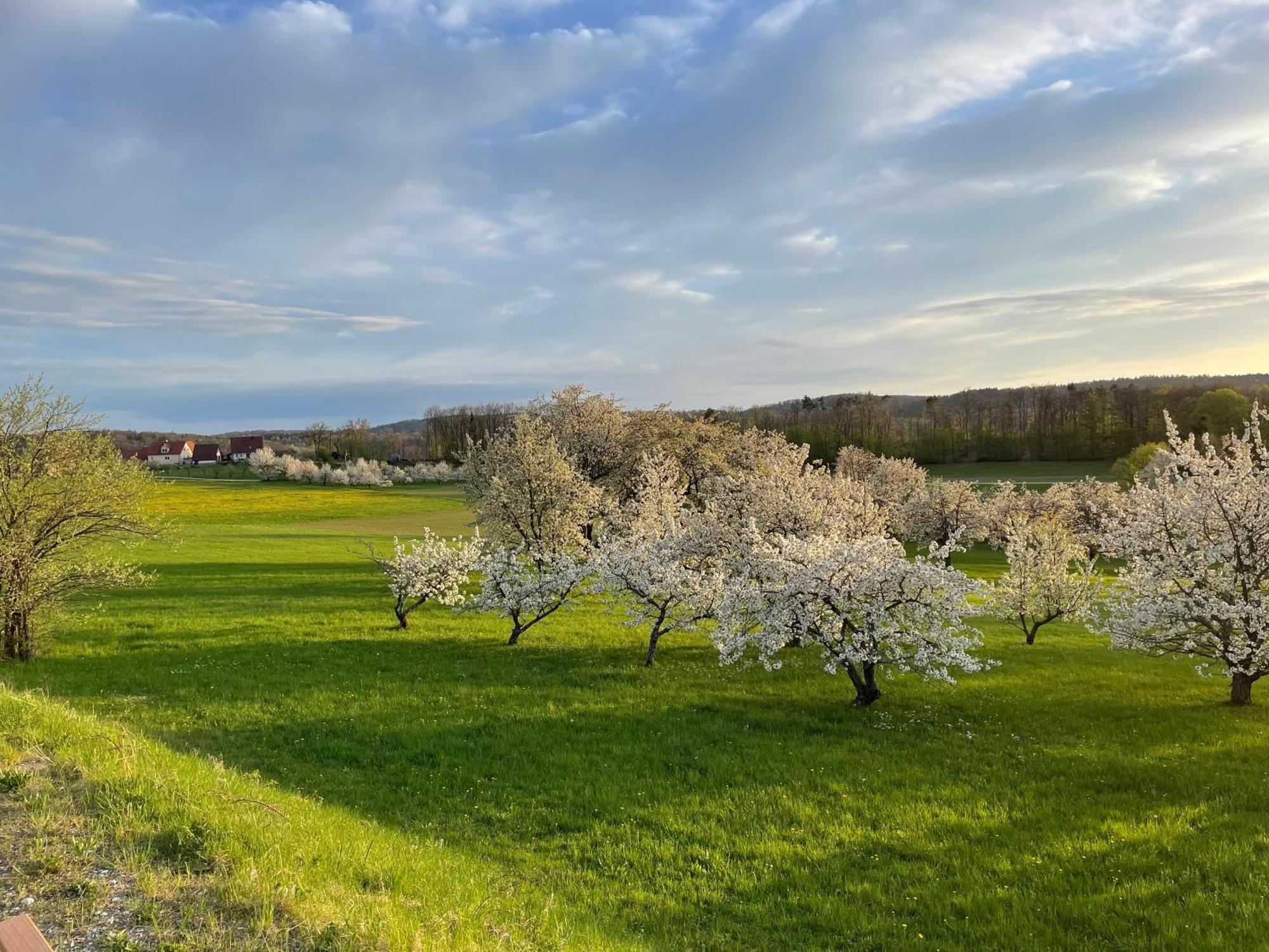 Holzferienhaus Holiday home