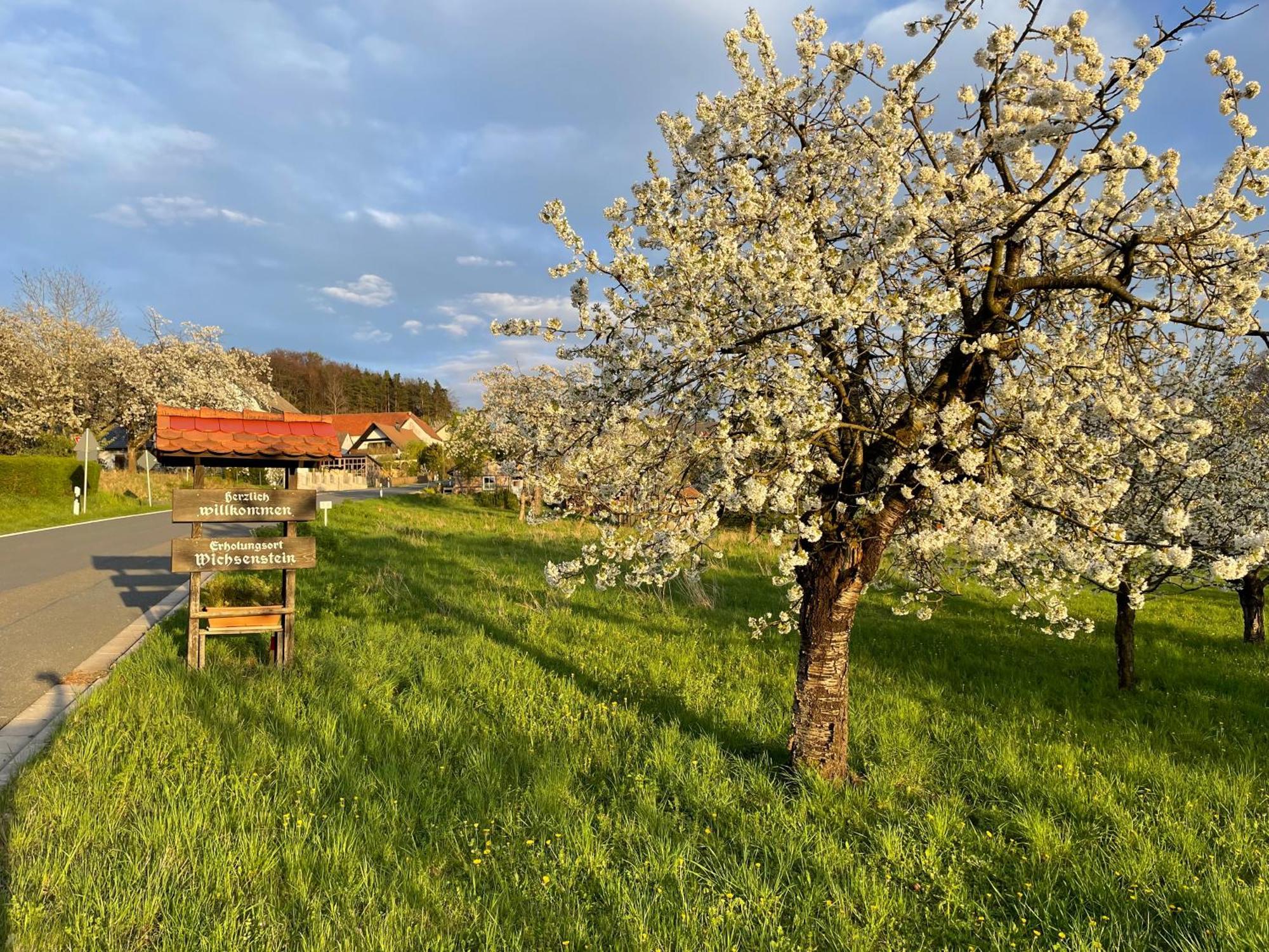Holzferienhaus Goessweinstein