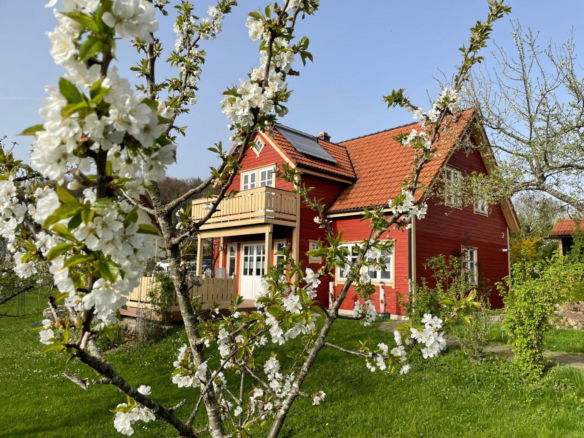 Ferienhaus Holzferienhaus